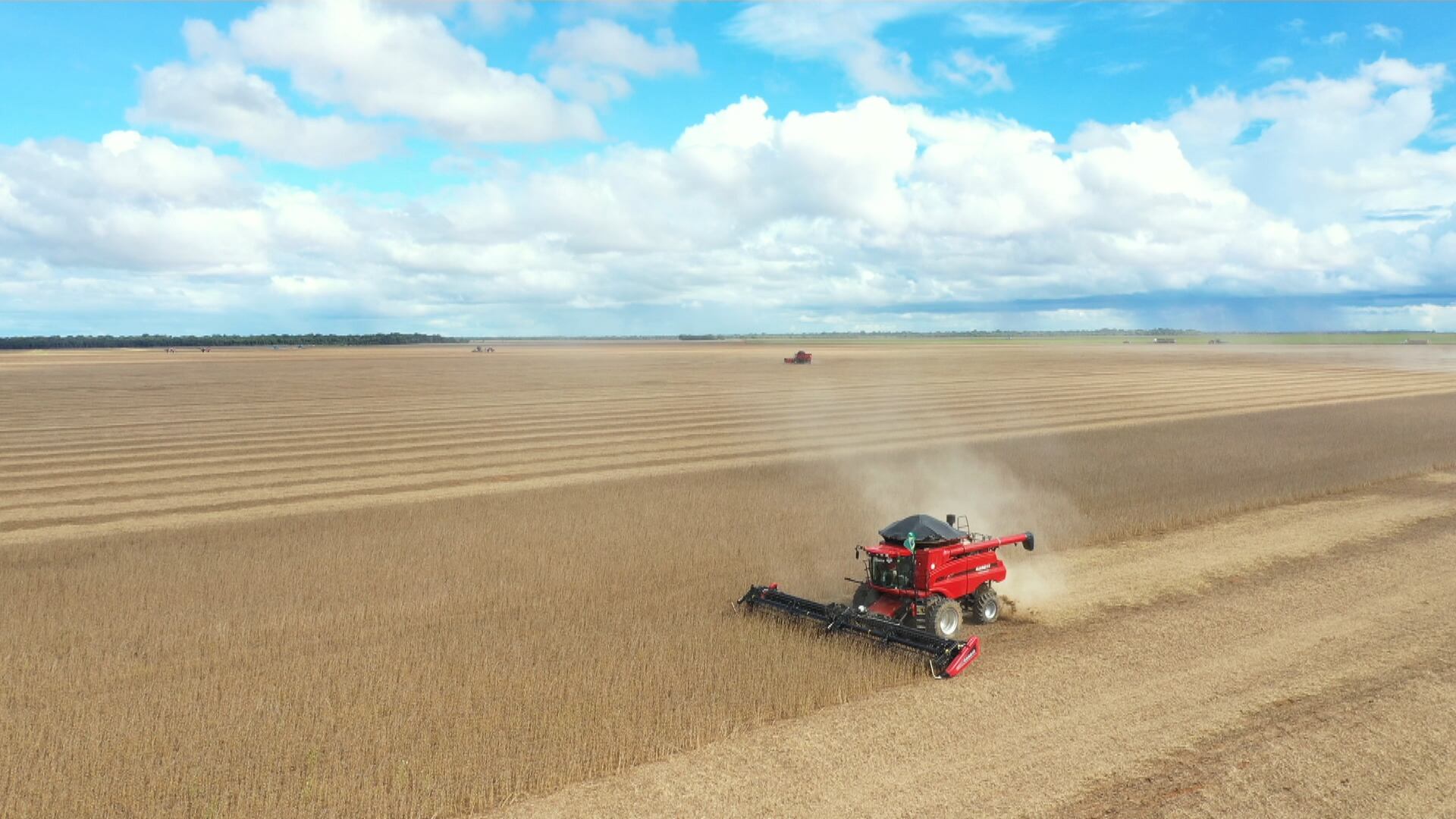 Abastecimento de diesel preocupa o agronegócio