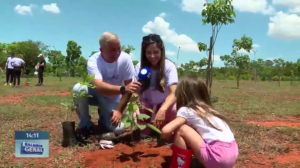 Plantio de árvores mobiliza voluntários no Parque da Cidade, em Brasília