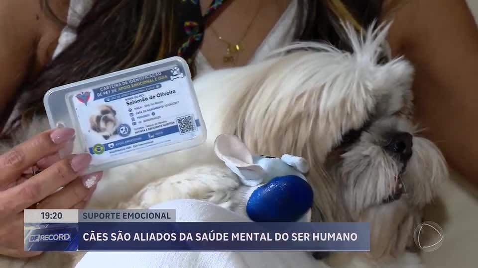 Cães de suporte emocional e seus benefícios para a saúde mental
