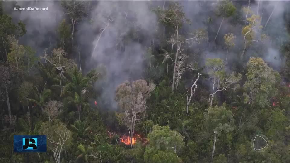 Brasil alcança menores taxas de desmatamento na Amazônia dos últimos 40 anos