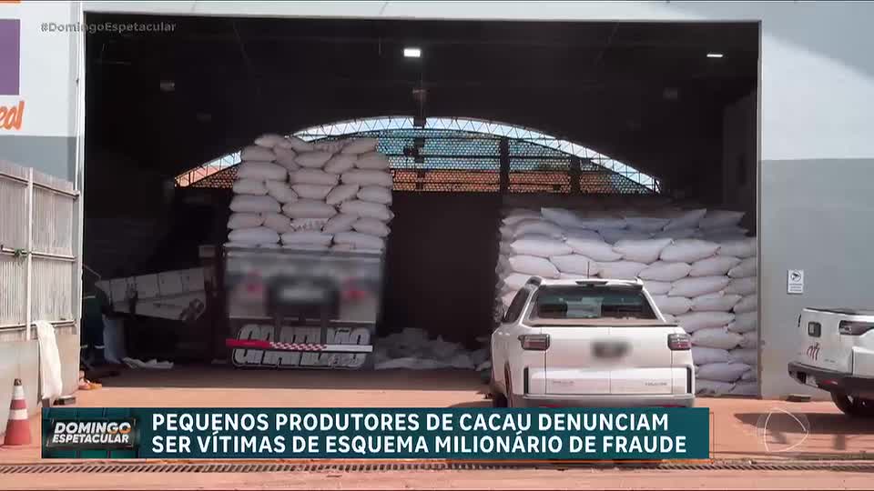 Pequenos produtores de cacau denunciam esquema milionário de fraude no Pará