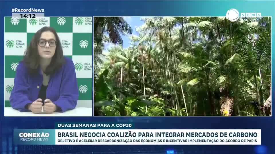 Brasil negocia coalizão para integrar mercados de carbono