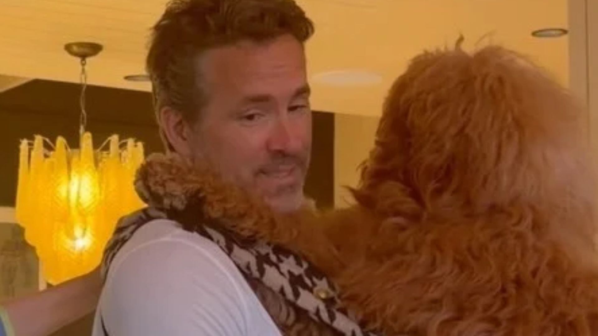 Blake Lively entrega intimidade de Ryan Reynolds com os pets da família