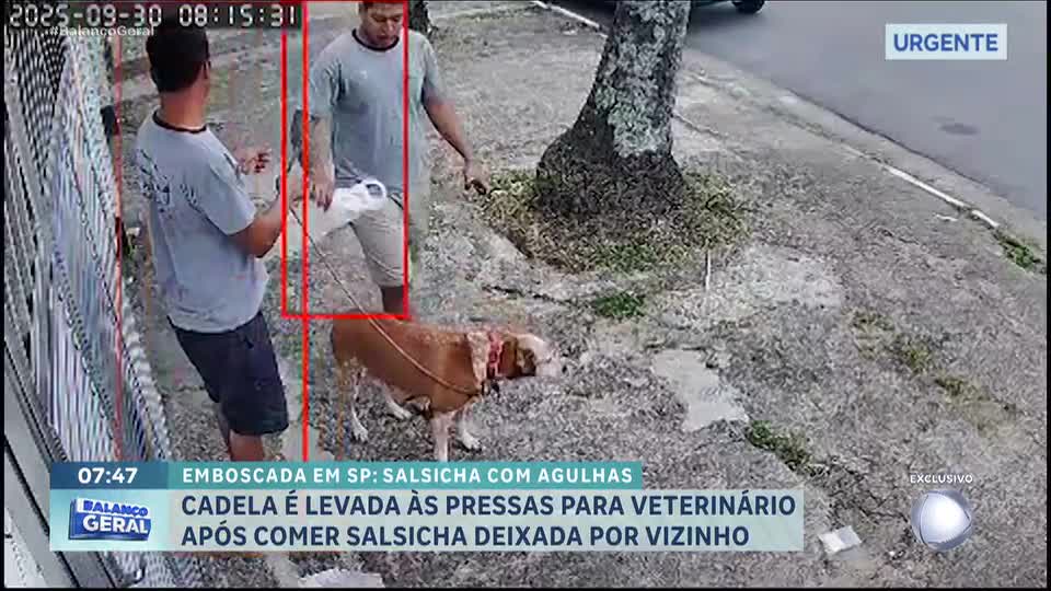 Cadela é levada às pressas ao veterinário após comer salsicha oferecida por vizinho o tutor