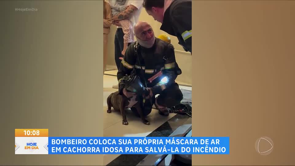 Bombeiro coloca sua própria máscara de ar em cachorra idosa para salvá-la de incêndio