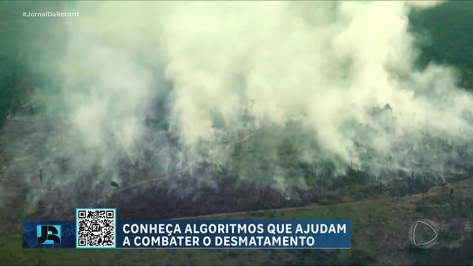 Brasil registra menor taxa de desmatamento da Amazônia em 11 anos