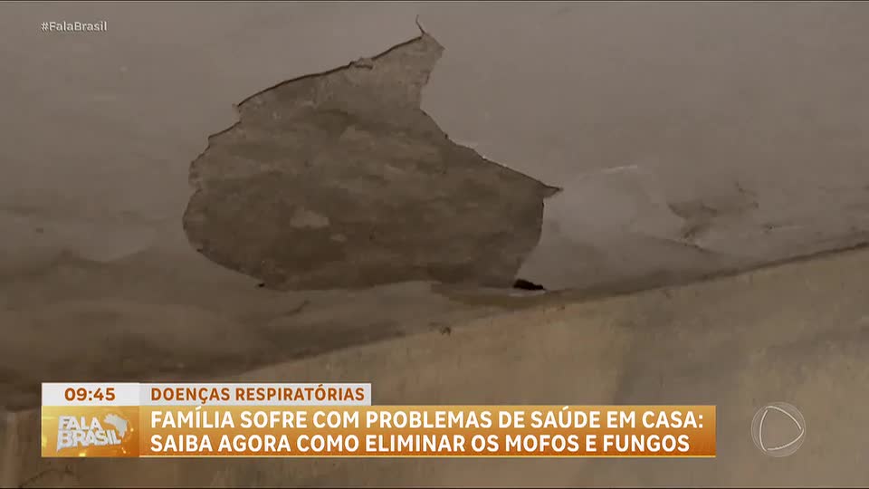 Dona de casa perde mãe por doenças respiratórias causadas pelo crescimento de mofo em SP