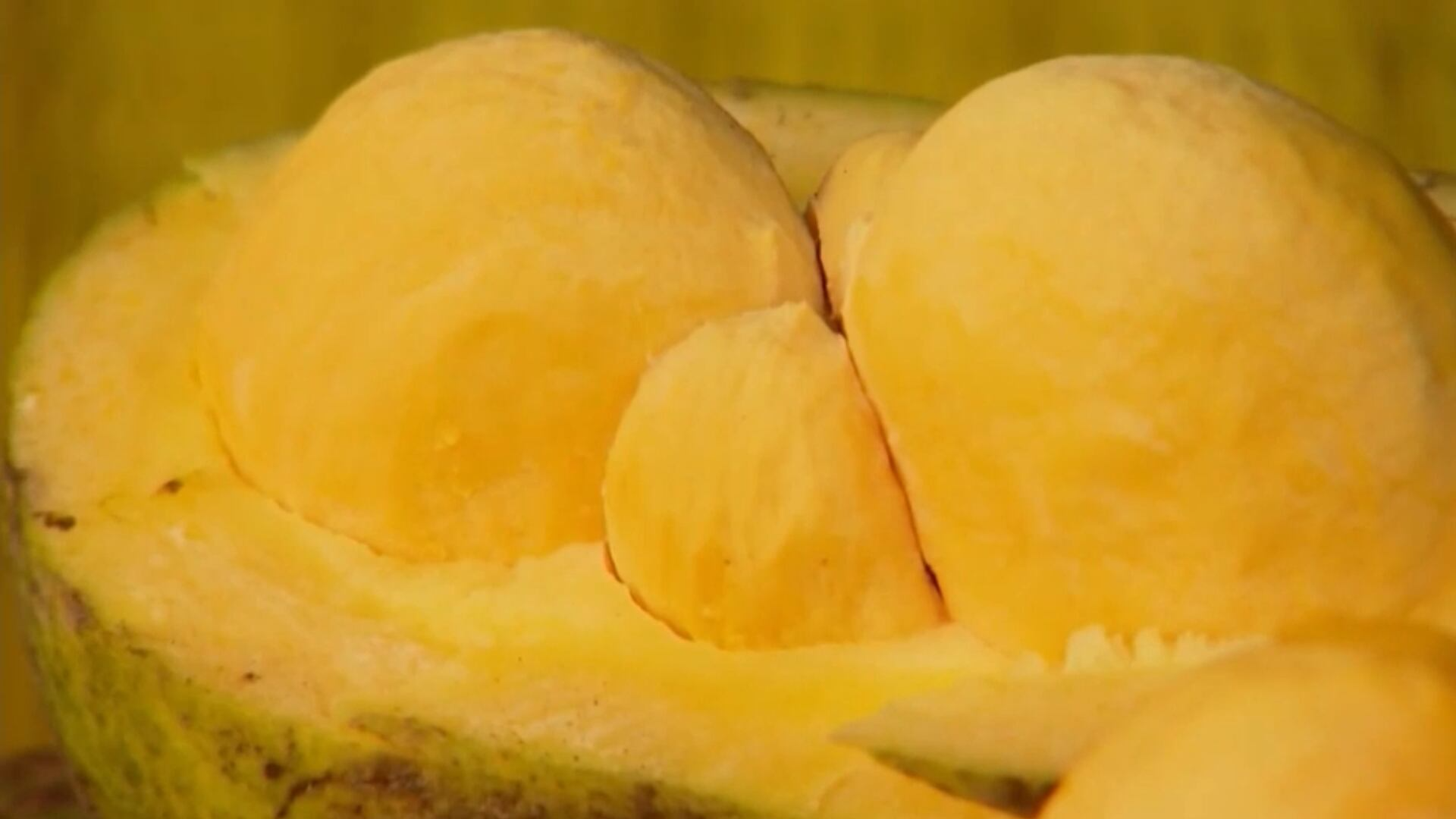 Pequi contribui na prevenção de doenças renais e redução do colesterol, aponta pesquisa