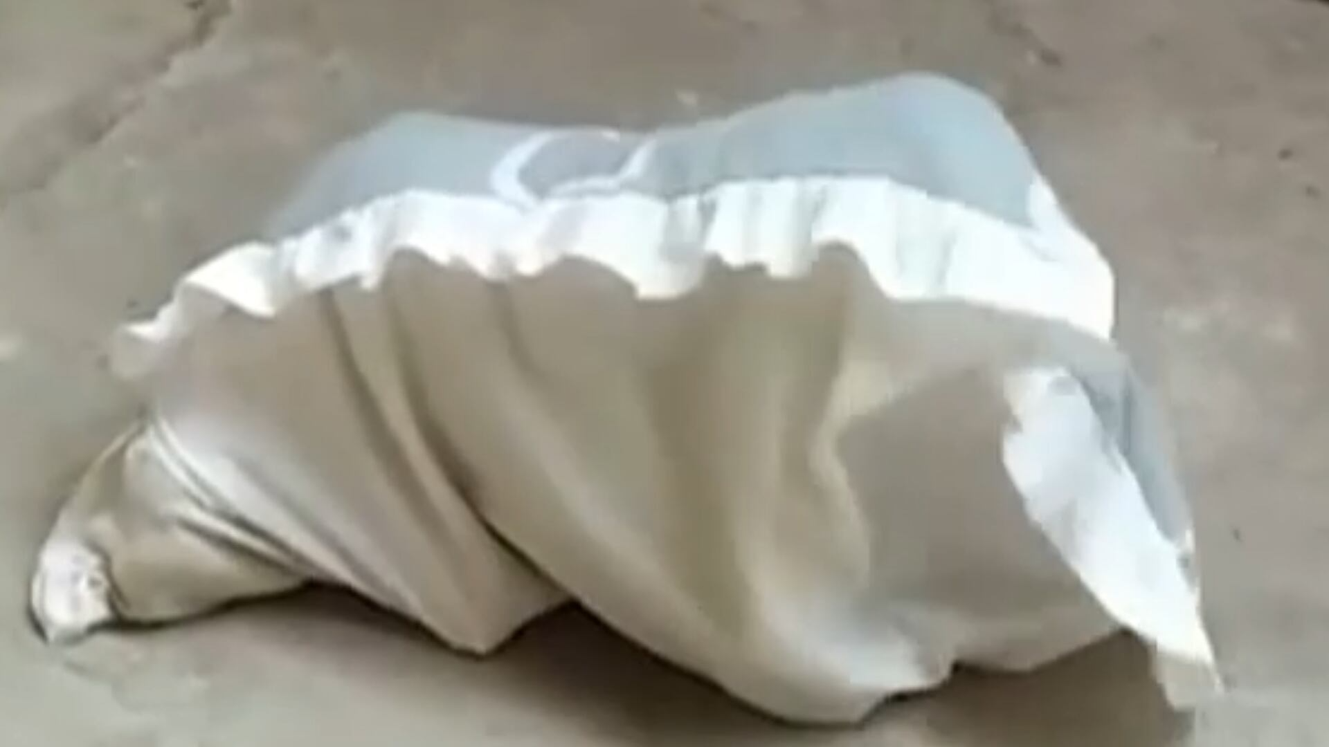 Assista aos destaques do 'Soltando os Bichos' deste domingo (2)