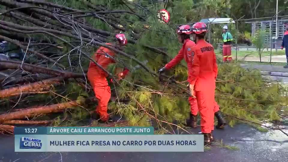 Tempestades no DF: veja o que fazer se seu carro for atingido por árvore ou poste