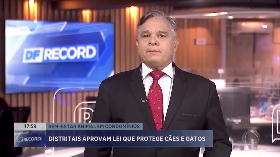 Câmara Legislativa aprova lei de proteção a cães e gatos em condomínios do DF