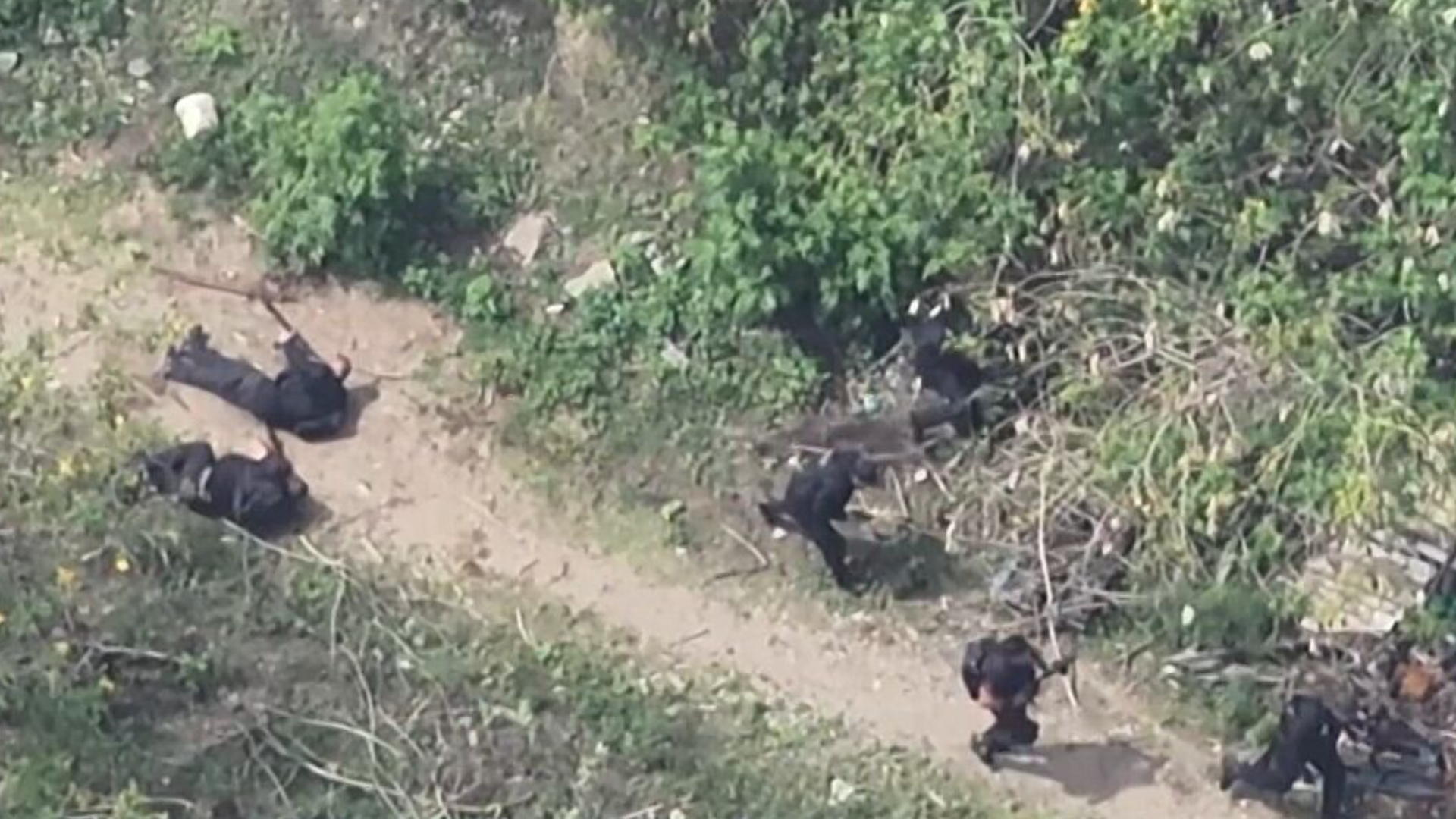 'Cenário de guerra', diz médica que participou de resgate de agentes feridos em megaoperação