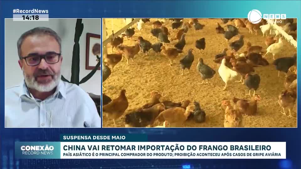 China vai retomar importação de frango brasileiro após embargo