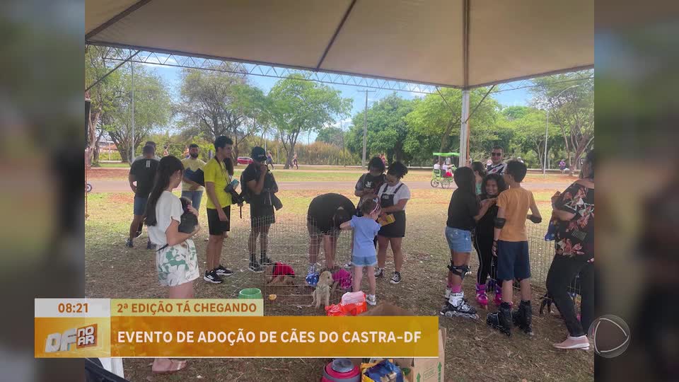 Parque da Cidade, em Brasília, recebe evento de adoção de cães neste domingo