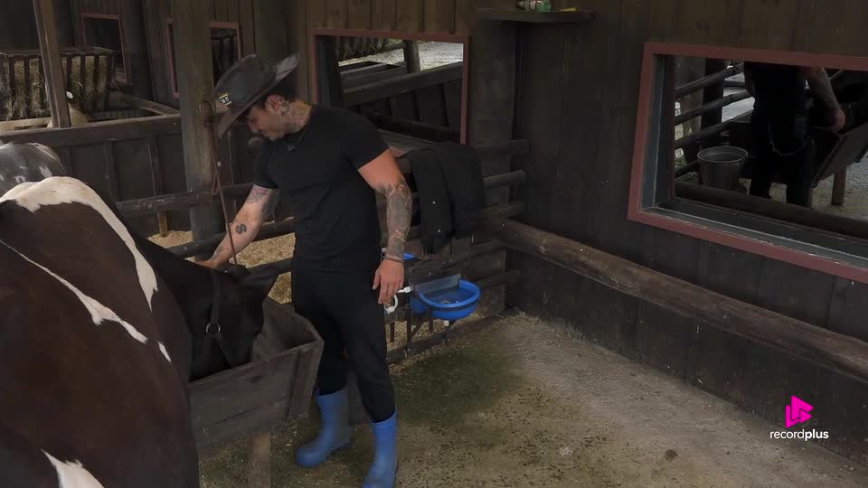 Wallas Arrais se irrita com Carol Lekker: 'Não tenho paciência' | A Fazenda 17