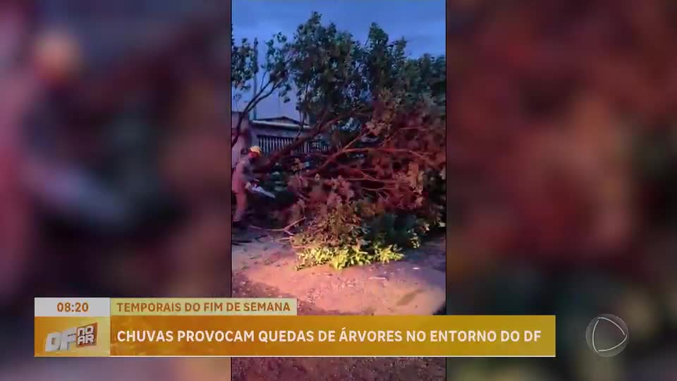 Temporais atingem o Entorno do DF e causam quedas de árvores e falta de energia