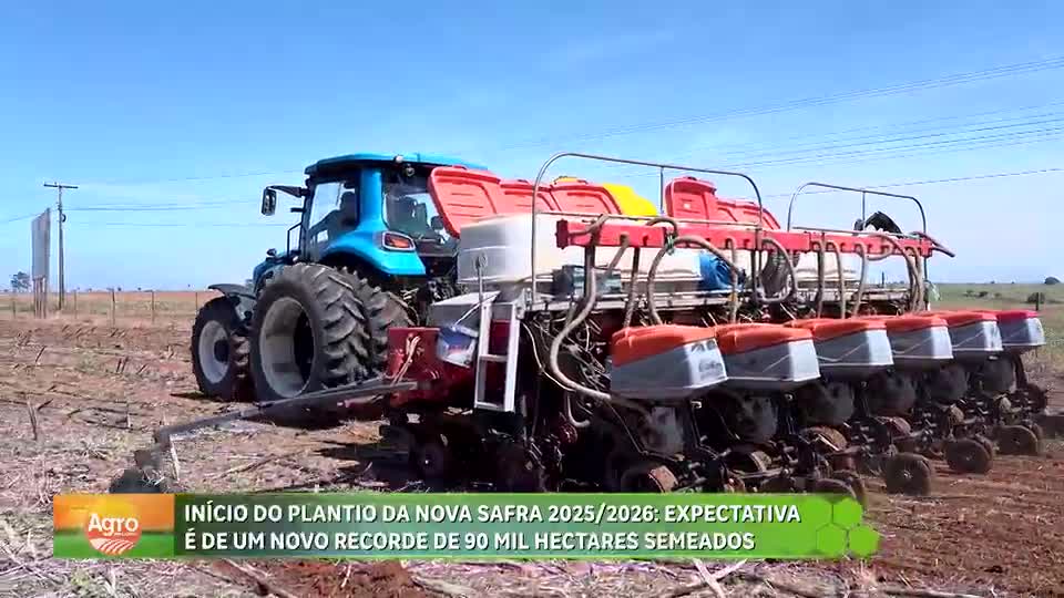 Safra 2025/2026 de soja no DF começa com projeção de recorde de produção