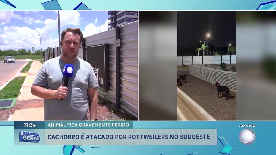 Cão é atacado por três rottweilers durante passeio no Sudoeste, em Brasília