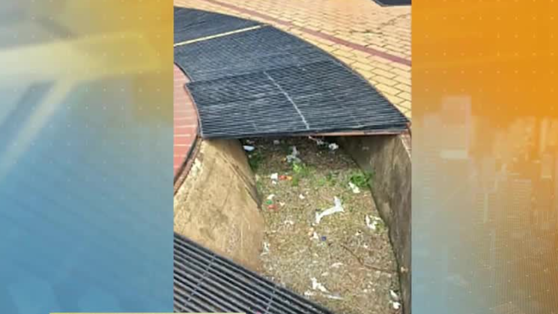 Influenciador que organizou “caça ao tesouro” na Praça do Papa é condenado por depredação