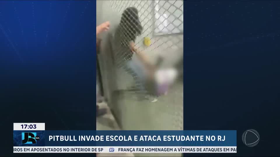 Pitbull invade escola e ataca estudante no Rio de Janeiro