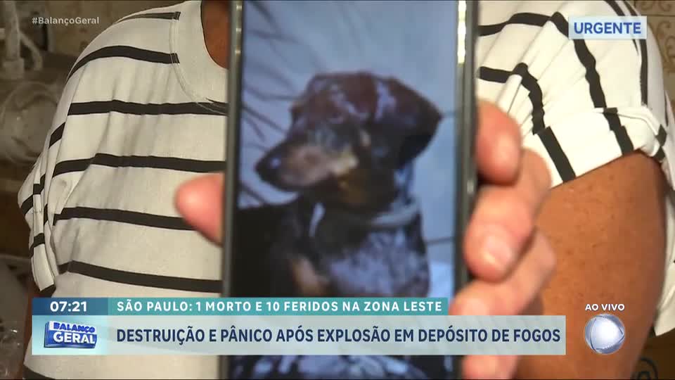 Família procura cachorro desaparecido após explosão que deixou um morto no Tatuapé