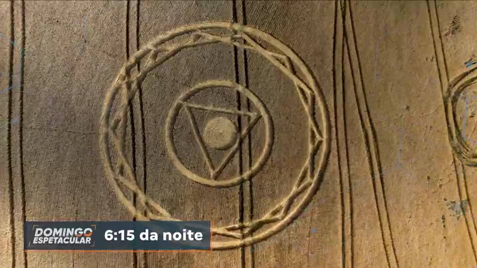 Domingo Espetacular investiga símbolos misteriosos que apareceram em plantação de trigo em SC