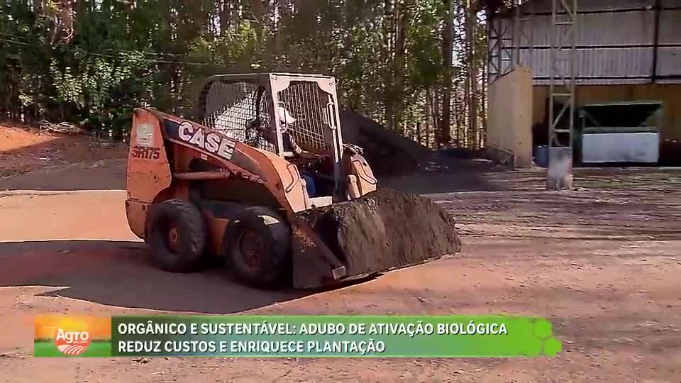 Orgânico e sustentável: adubo de ativação biológica reduz custos e enriquece plantação