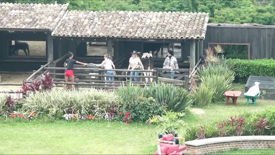 Saory se desentende com Rayane e Maria no trato dos animais | A Fazenda 17