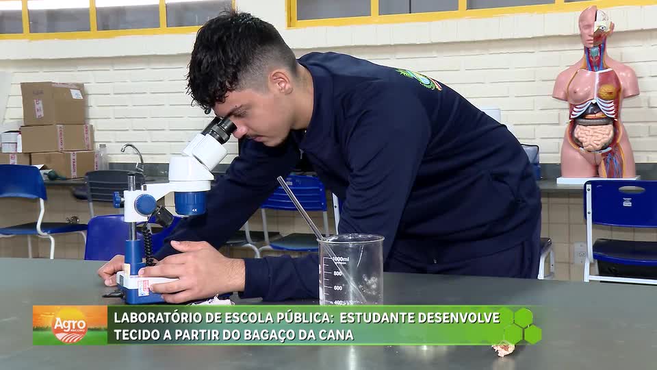 Estudante desenvolve tecido a partir do bagaço de cana em escola de Luziânia (GO)