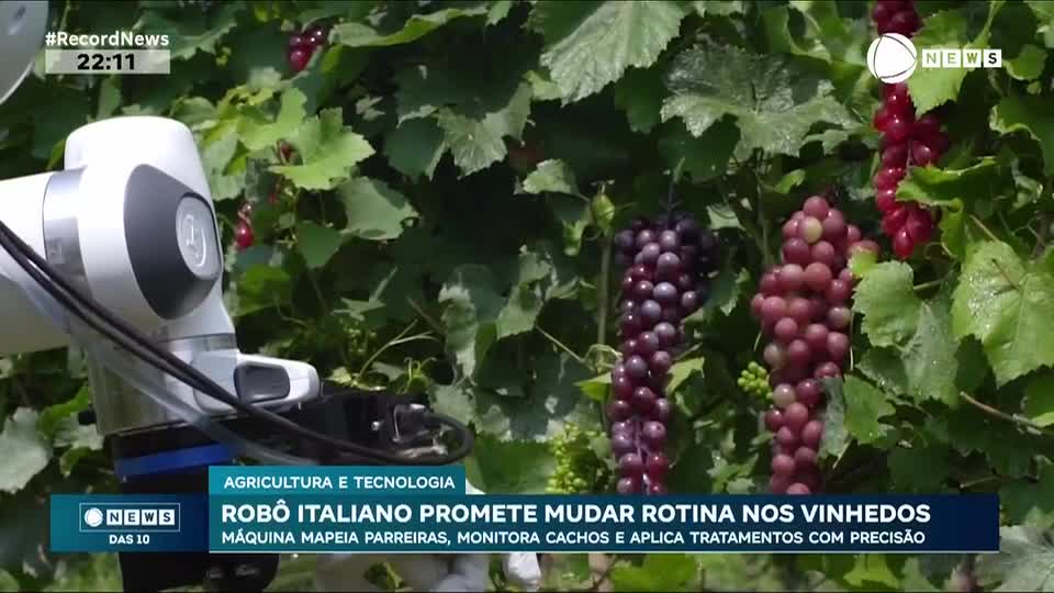 Robô italiano promete mudar rotina nos vinhedos