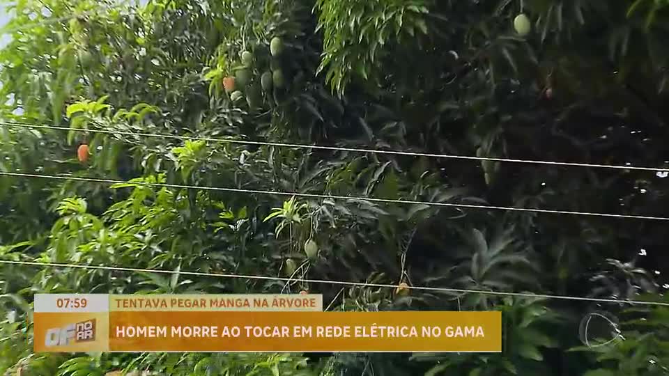 Homem de 40 anos morre ao colher mangas no Gama (DF)