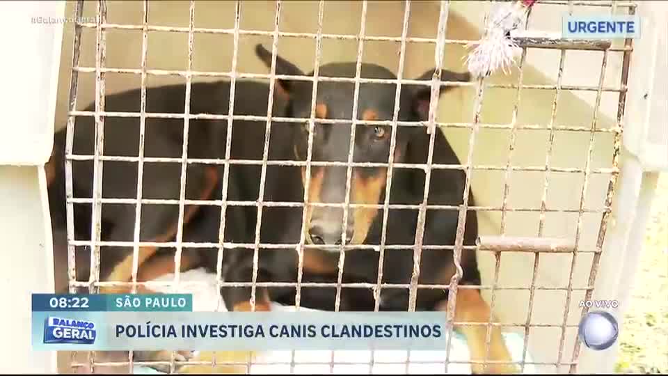 Polícia realiza operação para fechar canil clandestino em Santa Isabel (SP)