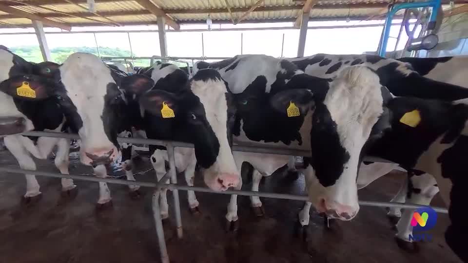 Programa da CIDASC coloca Santa Catarina em posição de destaque no cenário nacional