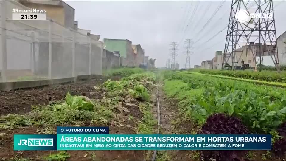 O Futuro do Clima: Áreas abandonadas se transformam em hortas urbanas