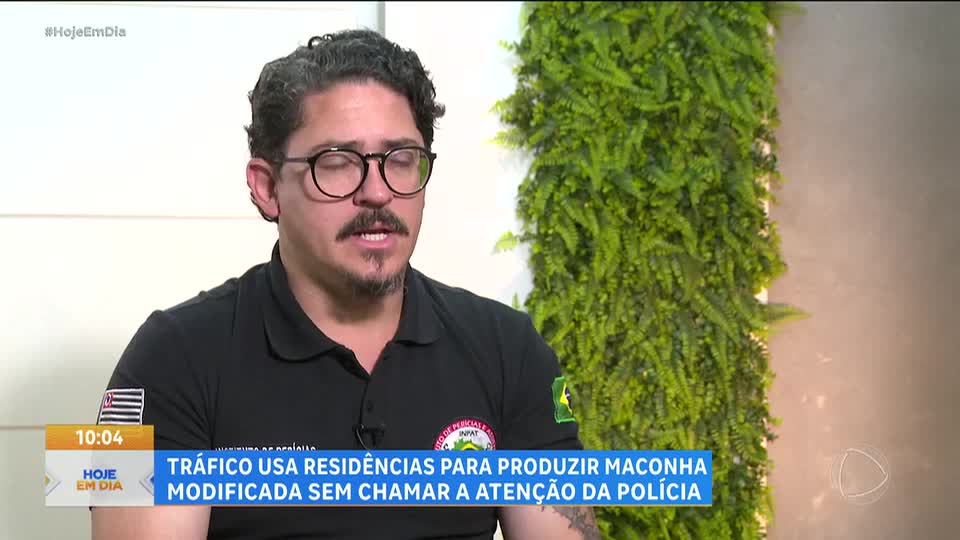 Produção caseira de maconha serve de fachada para indústria da droga mais vendida do mundo