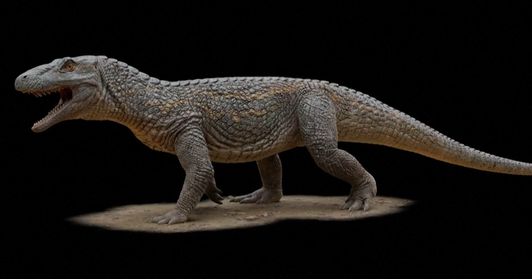 Fóssil de réptil de 240 milhões de anos é descoberto no Rio Grande do Sul