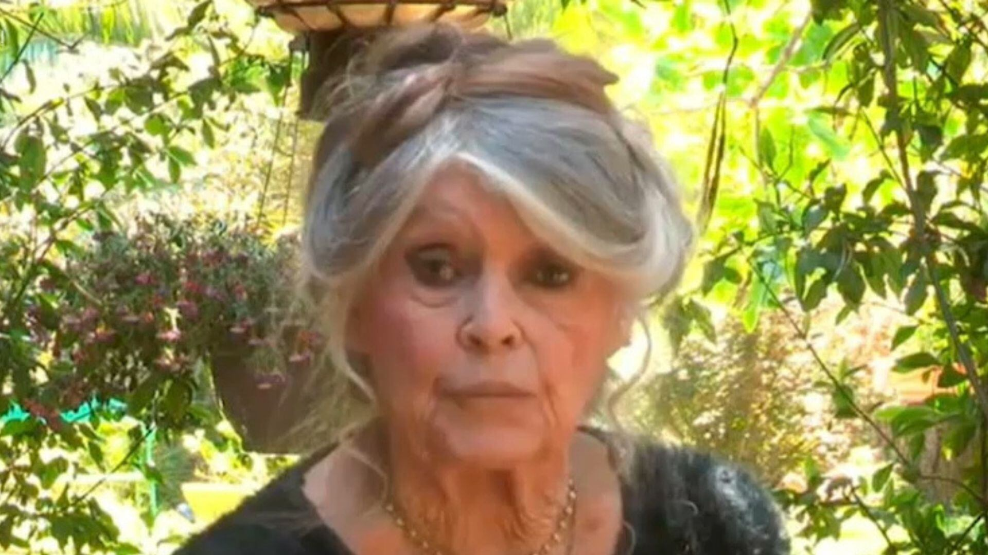 Brigitte Bardot enfrenta segunda internação em hospital da França