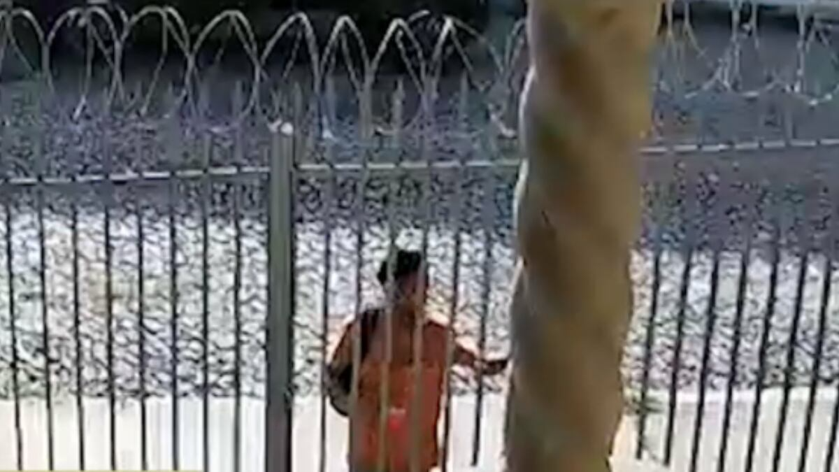 Criminoso vê portão aberto, entra em casa e furta celular e dinheiro no bairro Floresta em BH