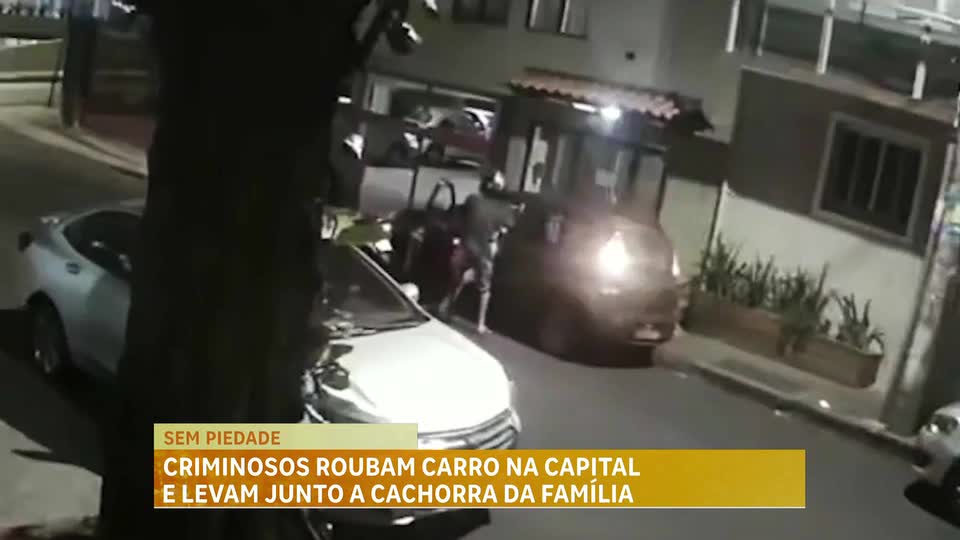 Criminosos roubam carro e levam junto a cadela da família em Belo Horizonte