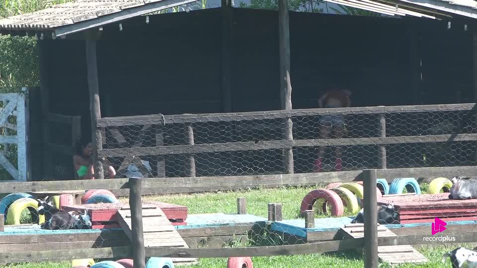 Carol Lekker relembra treta das mini-cabras | A Fazenda 17