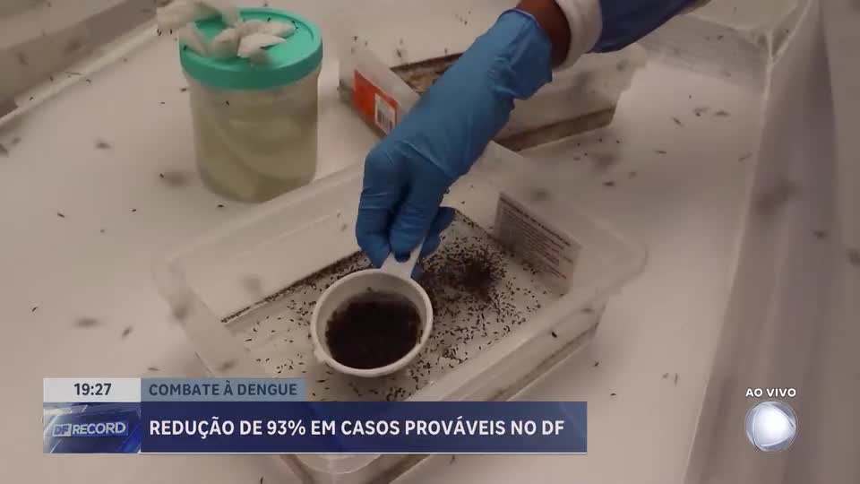 DF registra queda de 93% na dengue com reforço das ações de combate e adesão da população