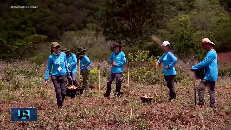 Projeto de reflorestamento tenta frear impactos de desastre ambiental no rio Taquari, em MS
