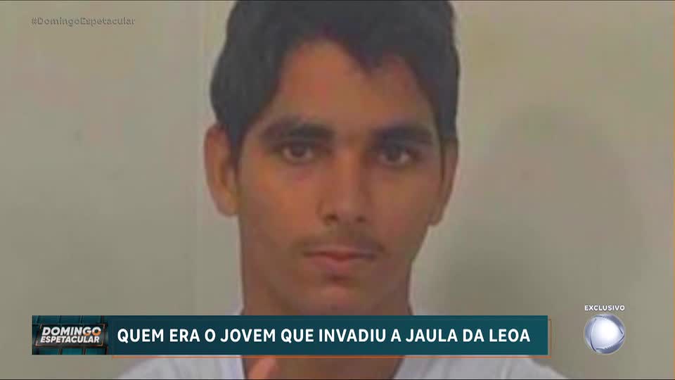 Tragédia no zoológico: jovem invade jaula de leoa e morre em ataque