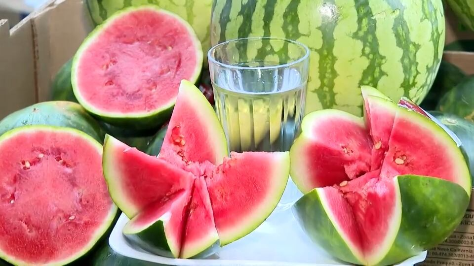 Melancia hidrata e oferece benefícios à saúde; confira quais
