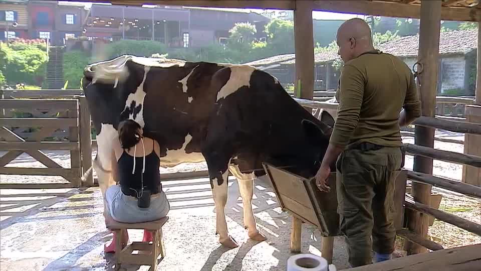 ‘Foi a maior burrice ele se colocar no cavalo’, afirma Duda sobre Dudu | A Fazenda 17
