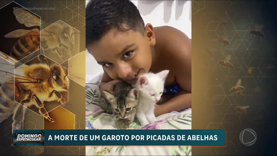 Abelhas atacam e matam menino de 9 anos em Catalão (GO) durante resgate de filhote