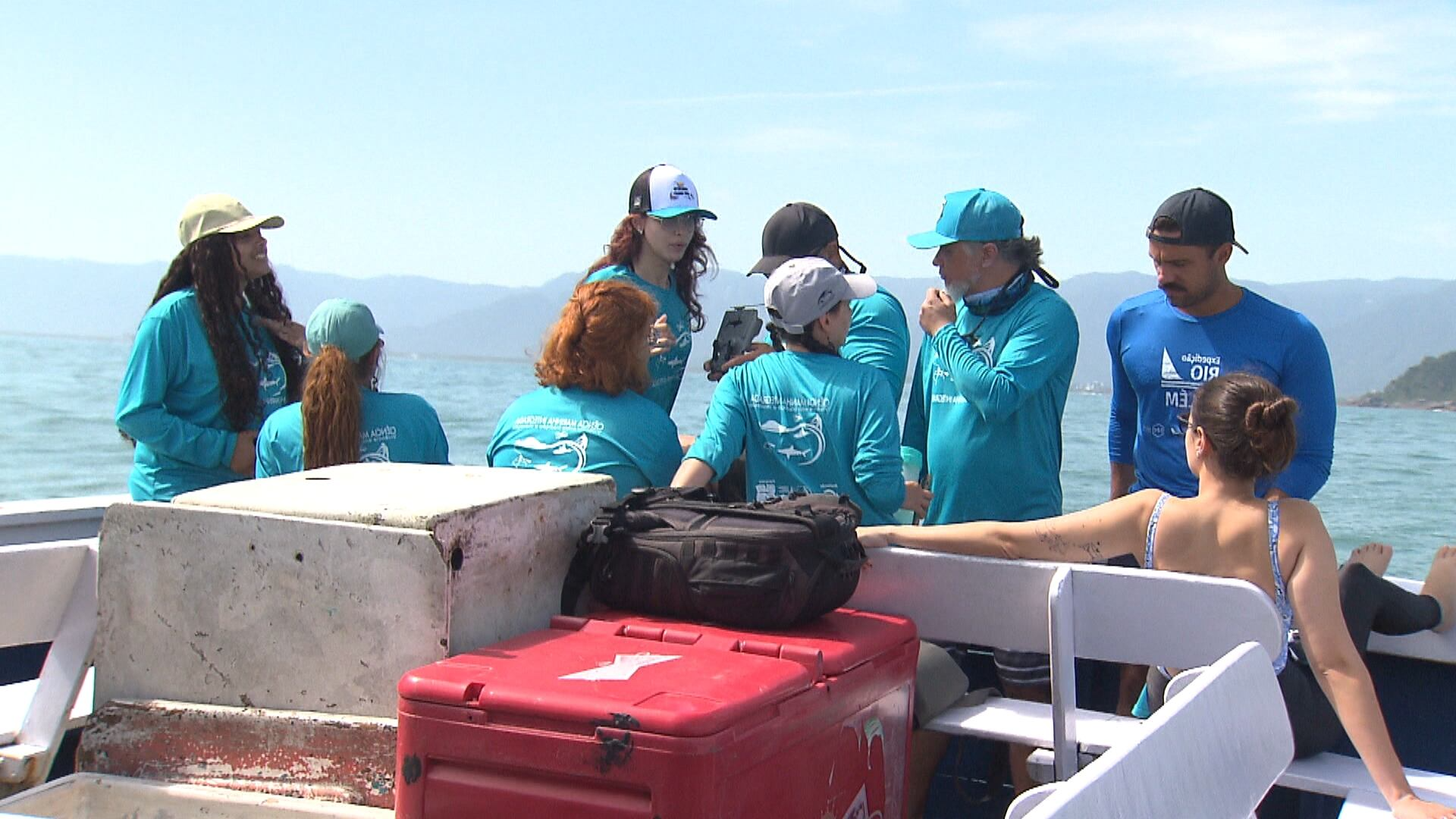 Estudantes deixam salas de aula da faculdade para explorar a vida marinha