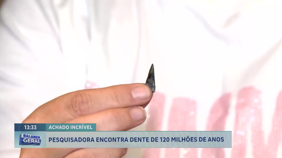 Pesquisadora da UnB descobre dente de pterossauro de 120 milhões de anos em Minas Gerais