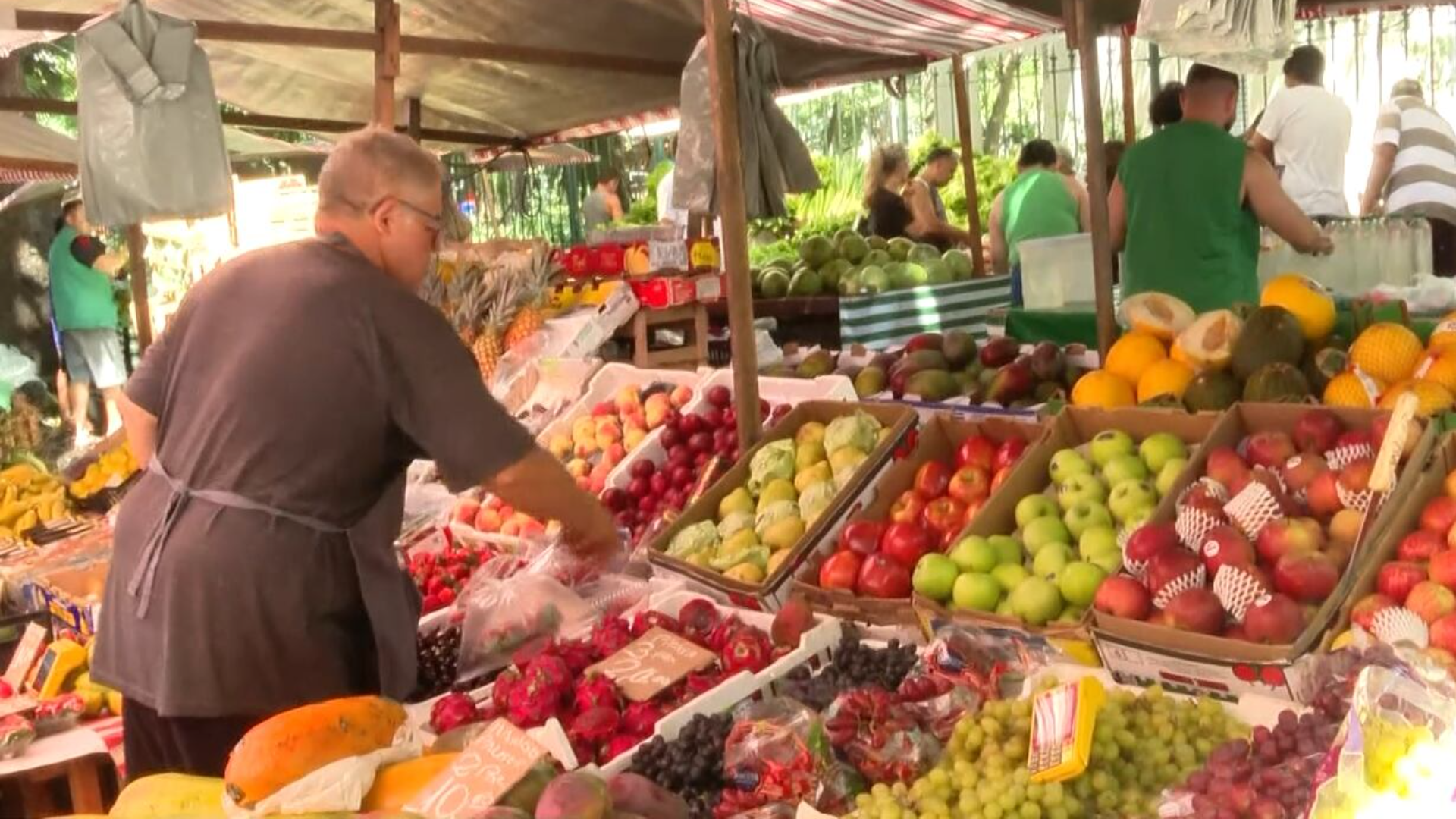 Frutas da época natalina estão mais baratas nas feiras livres do Rio de Janeiro
