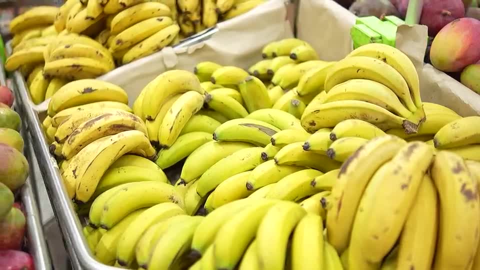 Município de Luiz Alves, em Santa Catarina: terra da banana e da cachaça